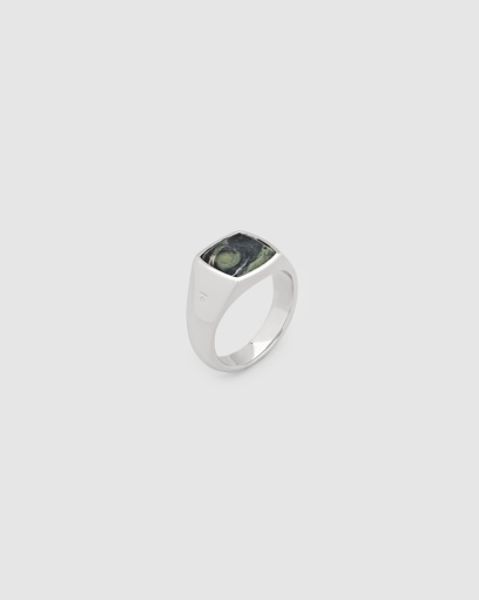 Hovedbilde KAY RING Kambaba