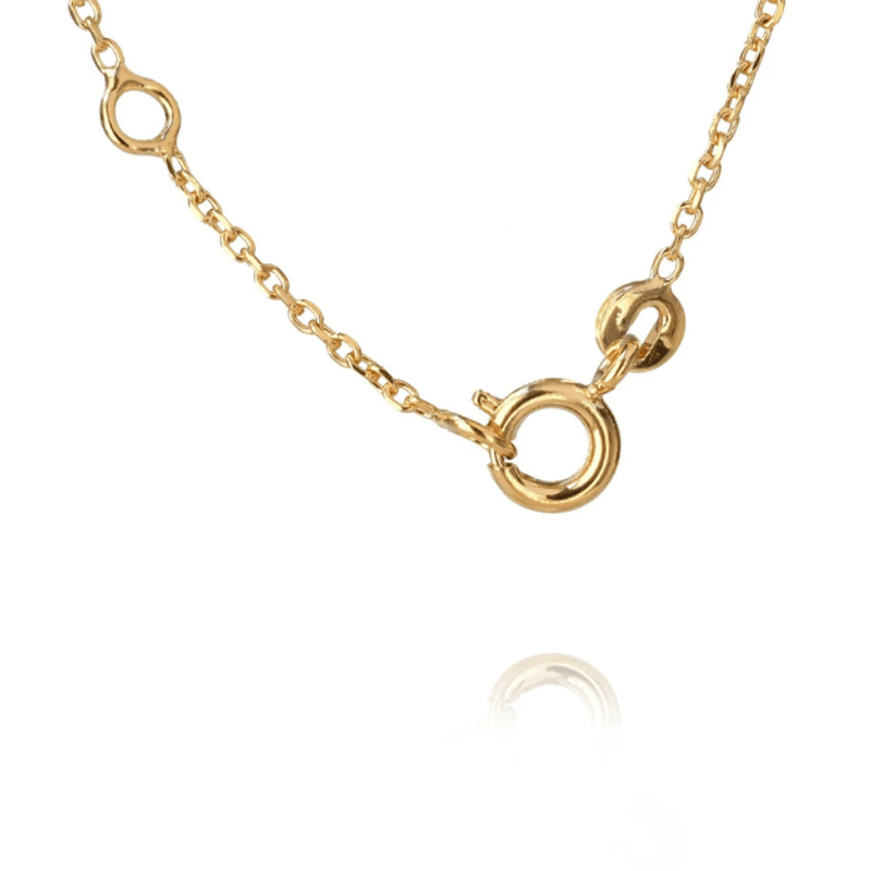 PETITE DROP NECKLACE Vintage Rose