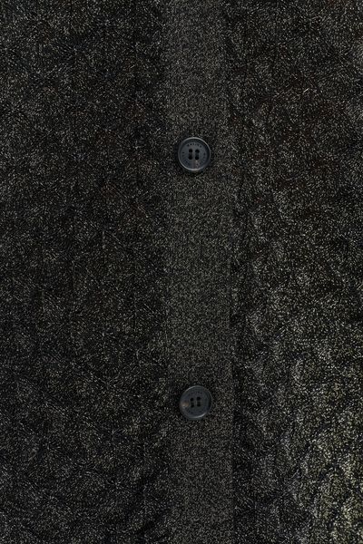 Hovedbilde ALISSA PANTS Black Metallic